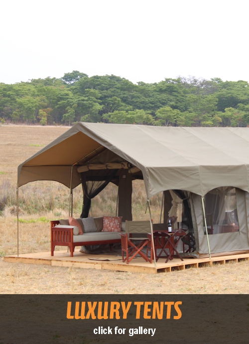 Luxury Tents